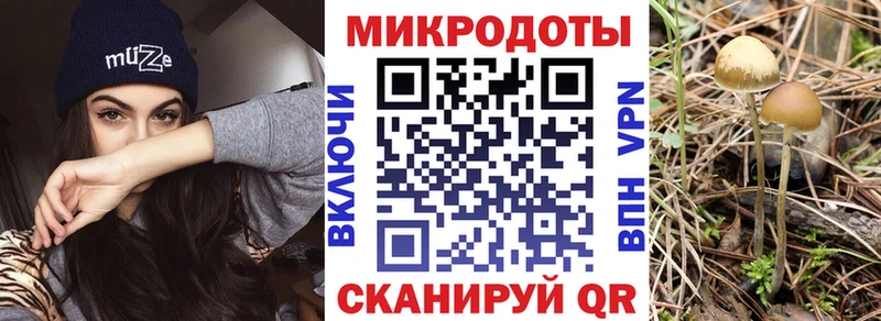 Галлюциногенные грибы ЛСД  где купить наркоту  Котельнич 